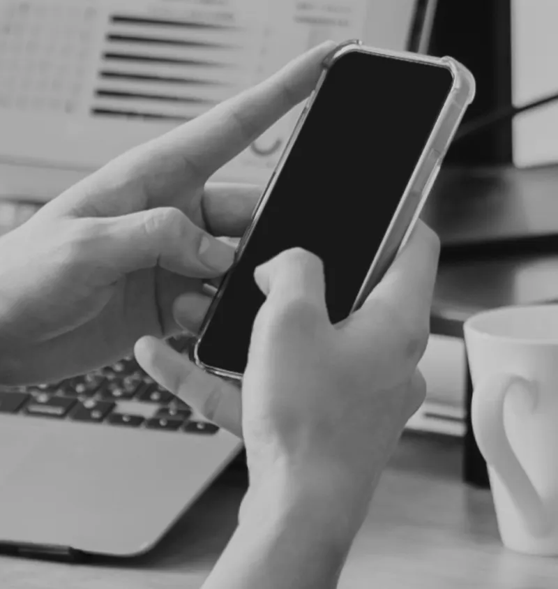 WEBマーケティング事業