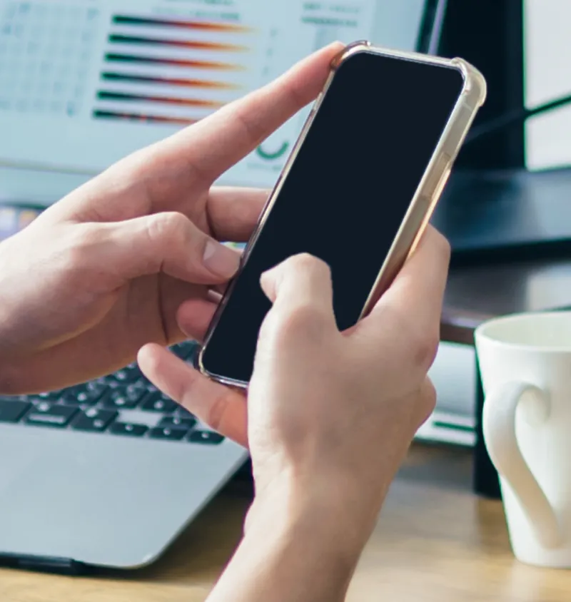 WEBマーケティング事業